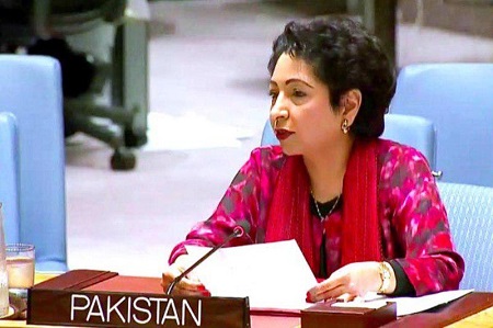 سفیر پاکستان در سازمان ملل: پناهگاه های امن تروریستان در افغانستان است نه در پاکستان