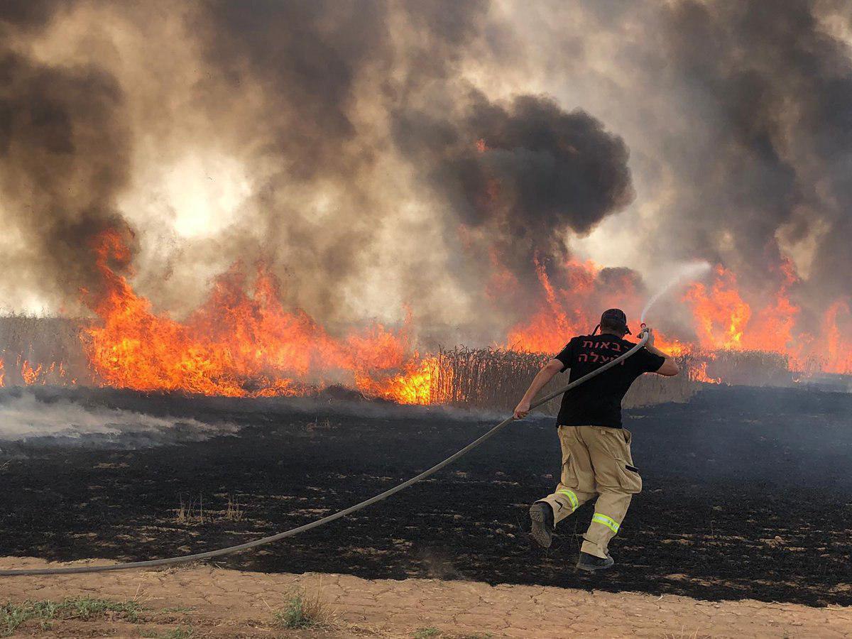  آتش سوزی گسترده در فلسطین اشغالی