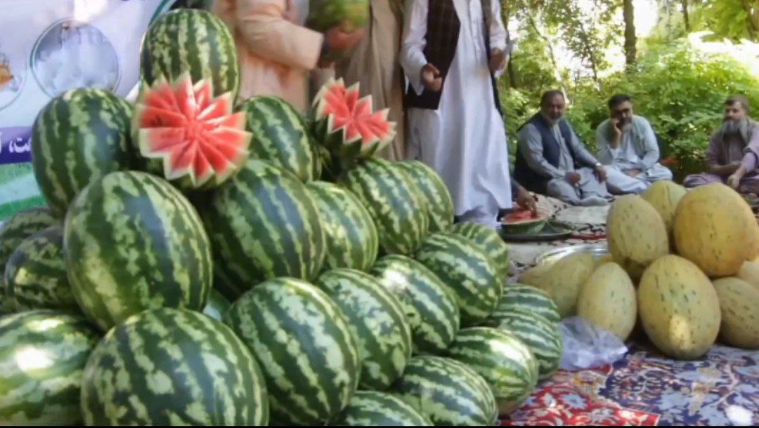 کشاورزان هرات از نبود سردخانه  های معیاری برای حاصلات شان نگران هستند