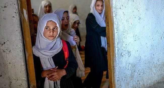 عفو بین الملل از طالبان خواست که در مورد ممنوعیت دختران از آموزش باید پاسخ گو باشد 