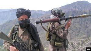 نیروهای تی تی پی (طالبان پاکستان)در حال برگشت به دره ی سوات پاکستان هستند 