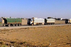 سرقت 40 لاری بزرگ گندم از سوریه توسط امریکا 